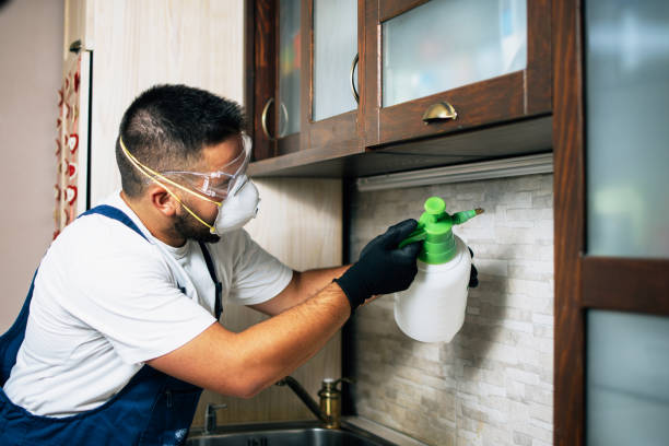 Best Pest Removal Services  in Wautoma, WI