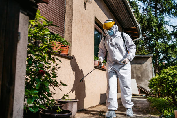 Best Pest Inspection Near Me  in Wautoma, WI