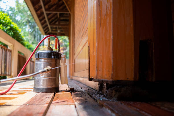 Best Best Pest Control Companies  in Wautoma, WI